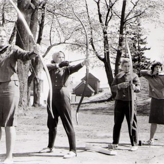 Vibulaskjatel on nii mõndagi meenutada