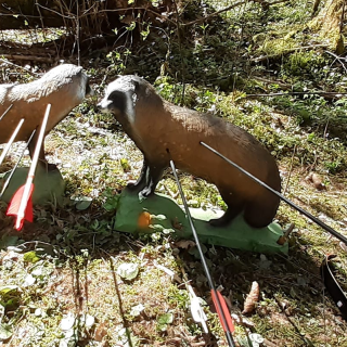 Eesti meistrivõistlused vibujahis 2025