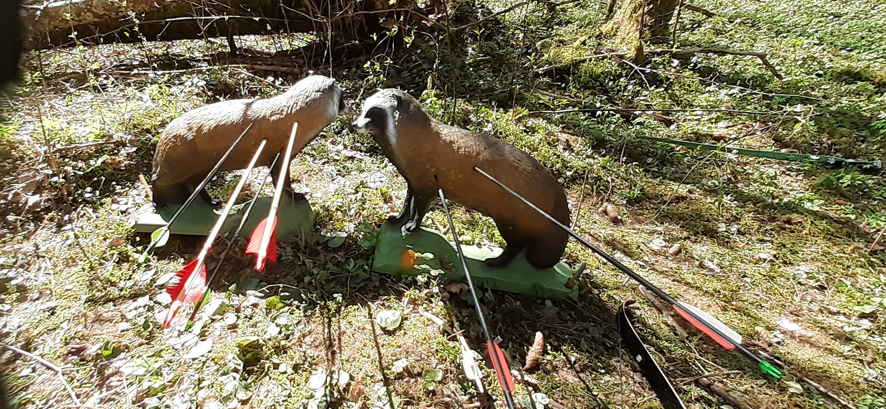 Eesti meistrivõistlused vibujahis 2025